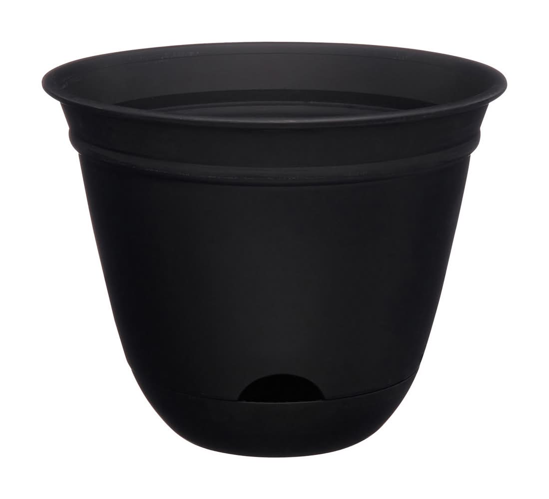 Self Watering Omni Planter 6 In Black