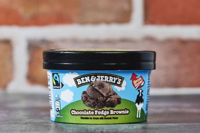 🍦 Ben & Jerry's Fudge Brownie (100ml)