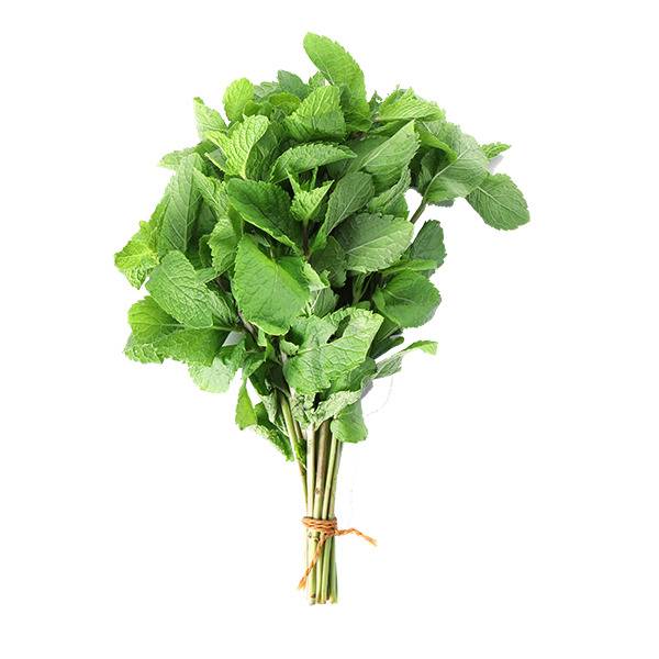 Organic Bunched Mint