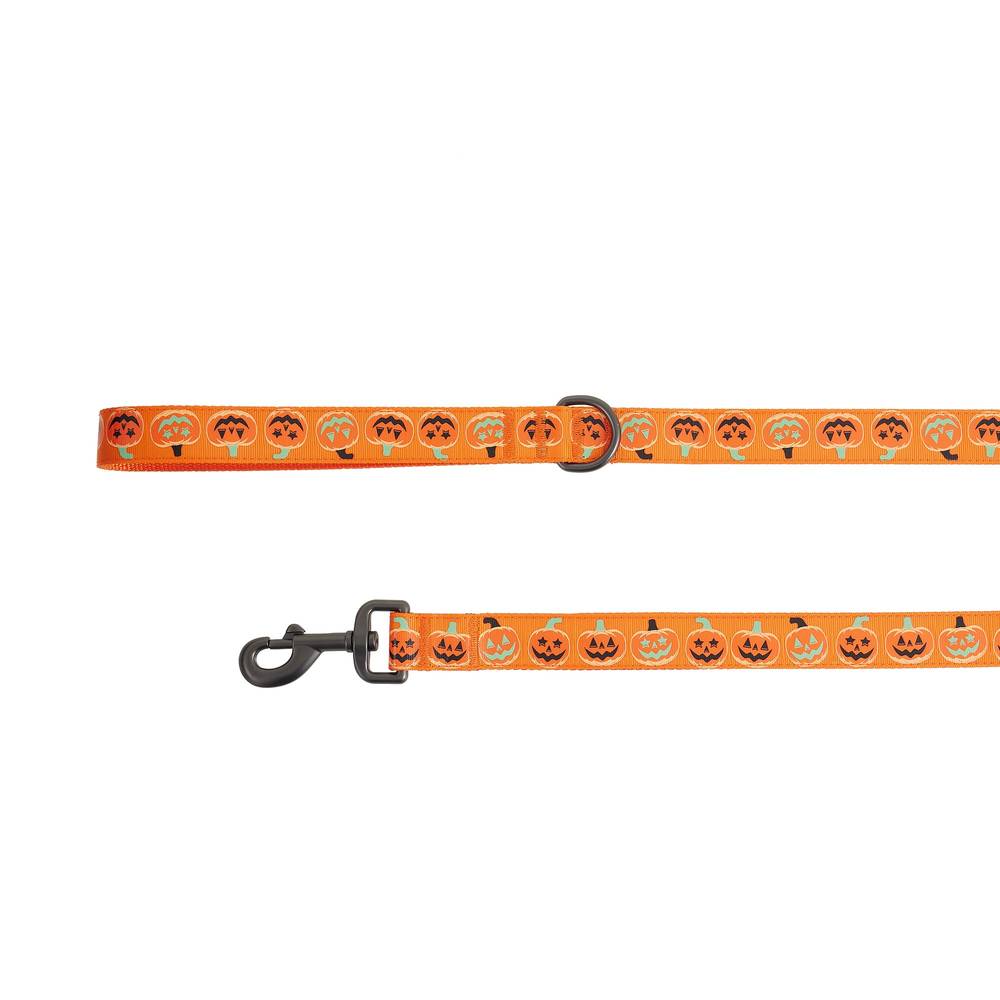 Thrills & Chills Pumpkin Printed Dog Leash (orange)