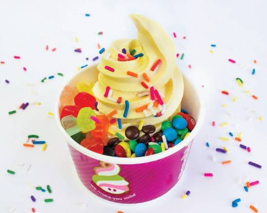 Frozen Yogurt (Small)