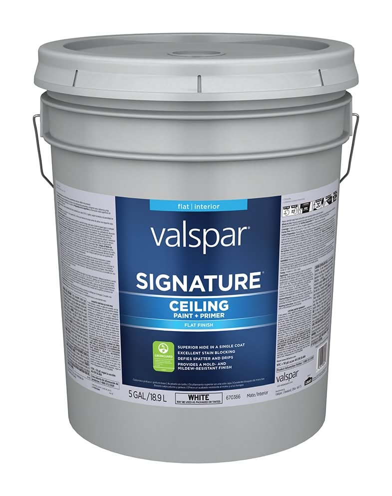 Valspar Flat White Ceiling Paint Paint and Primer ( 5-gallon )