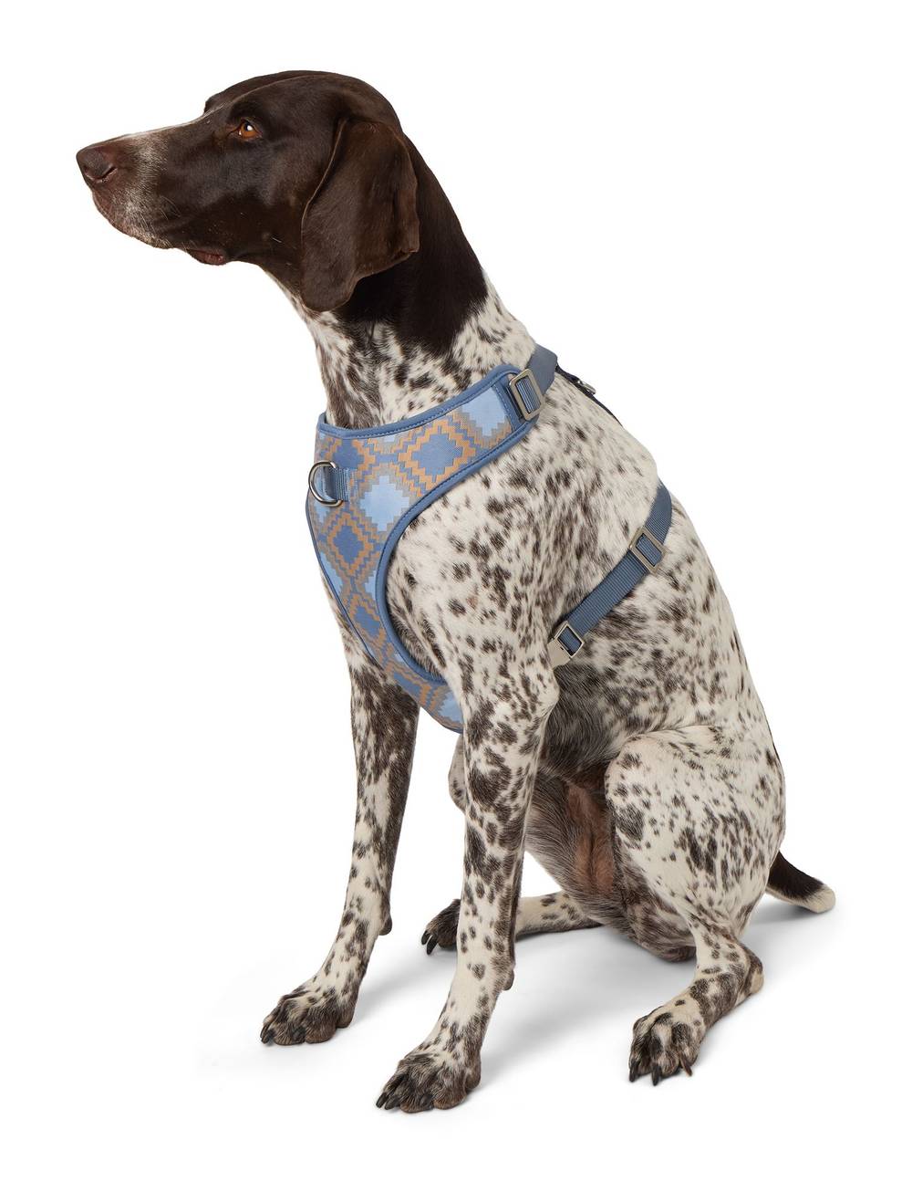 Top Paw Aztec Adjustable Fashion Comfort Dog Harness, Medium, Multicolor