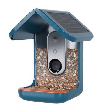Bird Buddy Smart Bird Feeder with Camera and Solar Roof