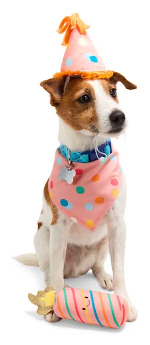 Youly Birthday Party Set For Dogs, Small-Medium, Pink (0.2 lbs)