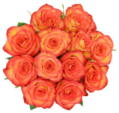 Orange Roses 12 Stem Wet Pack - Each