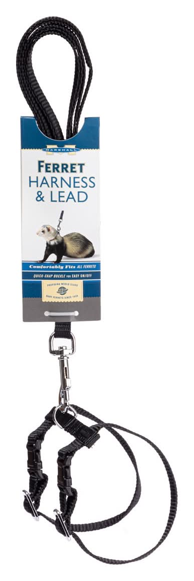 Marshall · Arnés para hurón negro (50 g)