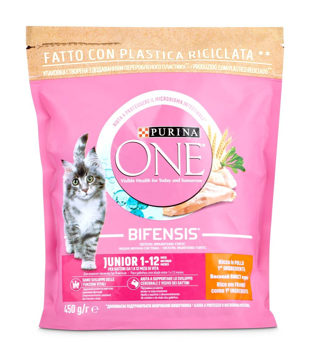 Alimento Para Gatos Junior Purina One Bolsa 450 G
