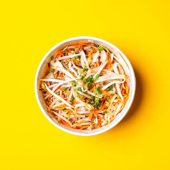 🍜 NOUILLES DE RIZ