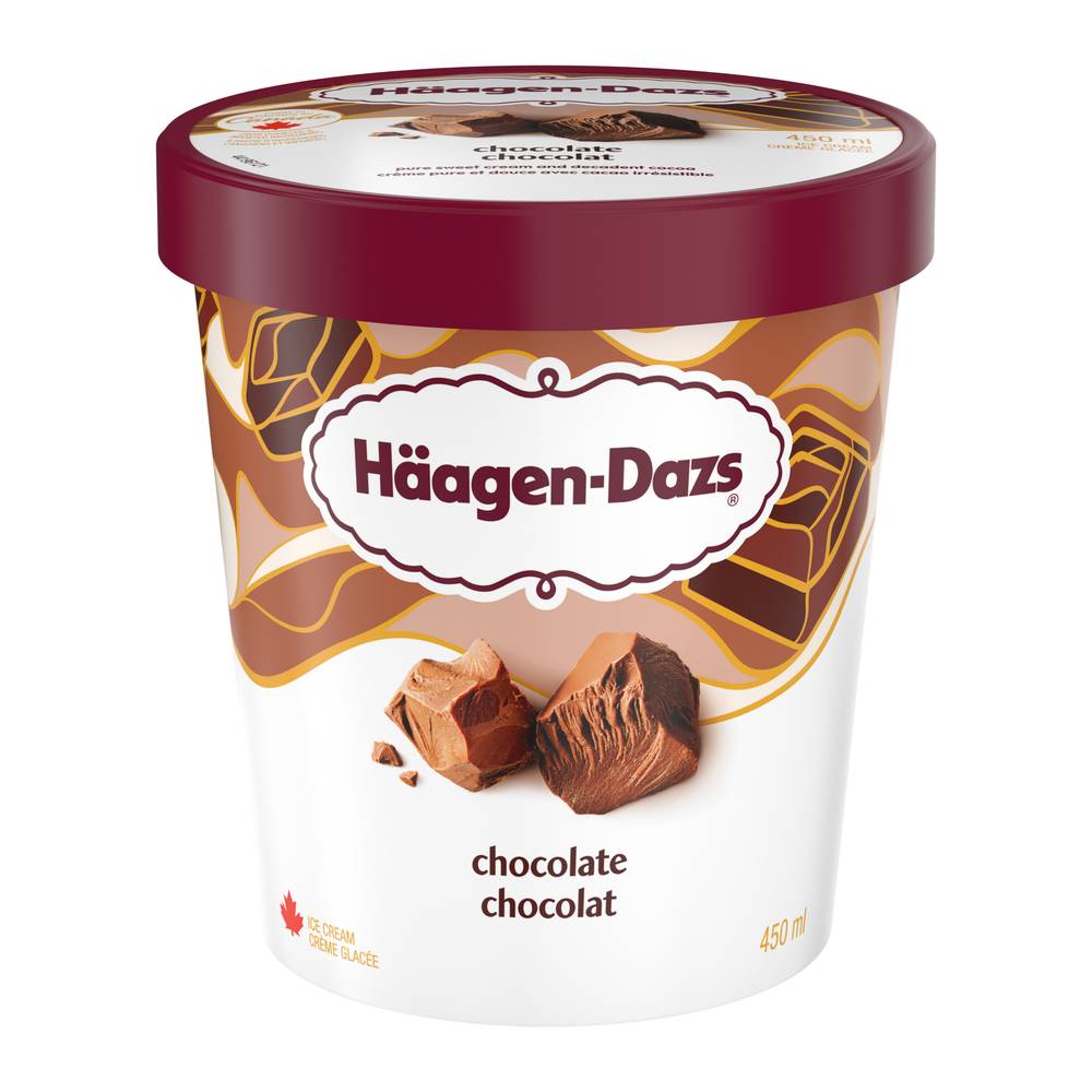 Häagen-Dazs Au Chocolat Chocolate Ice Cream (450 ml)