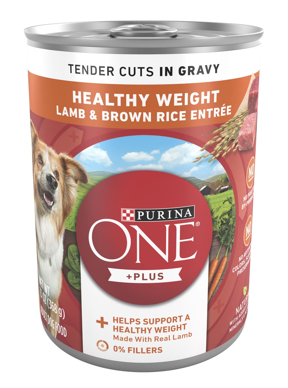 Purina One Plus Healthy Weight Lamb and Brown Rice Entree Wet Dog Food (13 oz)