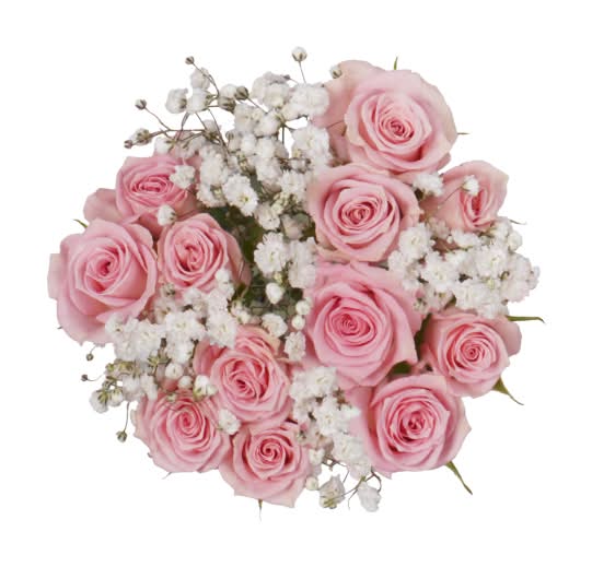 Bloom Haus Spray Rose Fresh Flower Bouquet, Pink