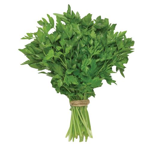 Italian Parsley 1 Bunch