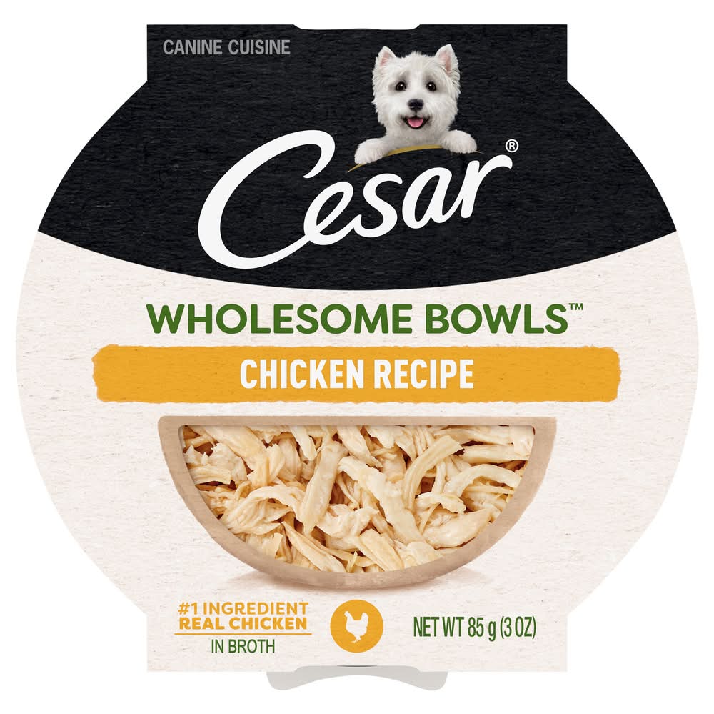 Cesar Wholesome Bowls Chicken Recipe Wet Dog Food (3 oz)