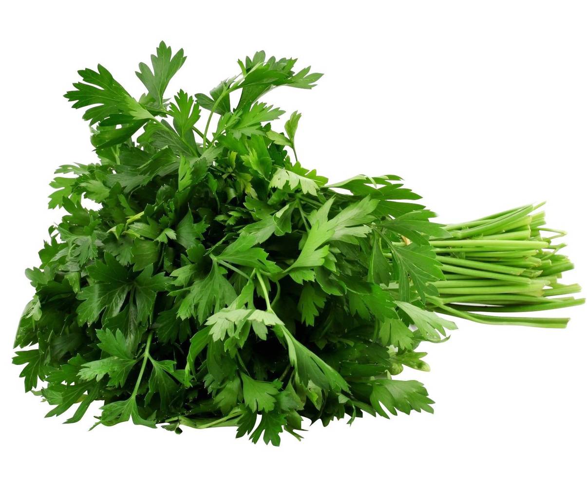 Persil plat - le bouquet de 20g