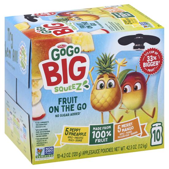 Gogo Big Squeez Mixed Fruit Applesauce Pouches (10 ct)