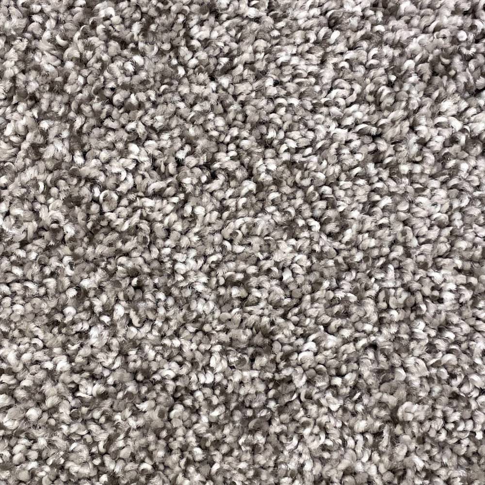 STAINMASTER Notorious Gaucho Brown 36-oz sq yard Polyester Textured Indoor Carpet | R1440-100-1200-AB
