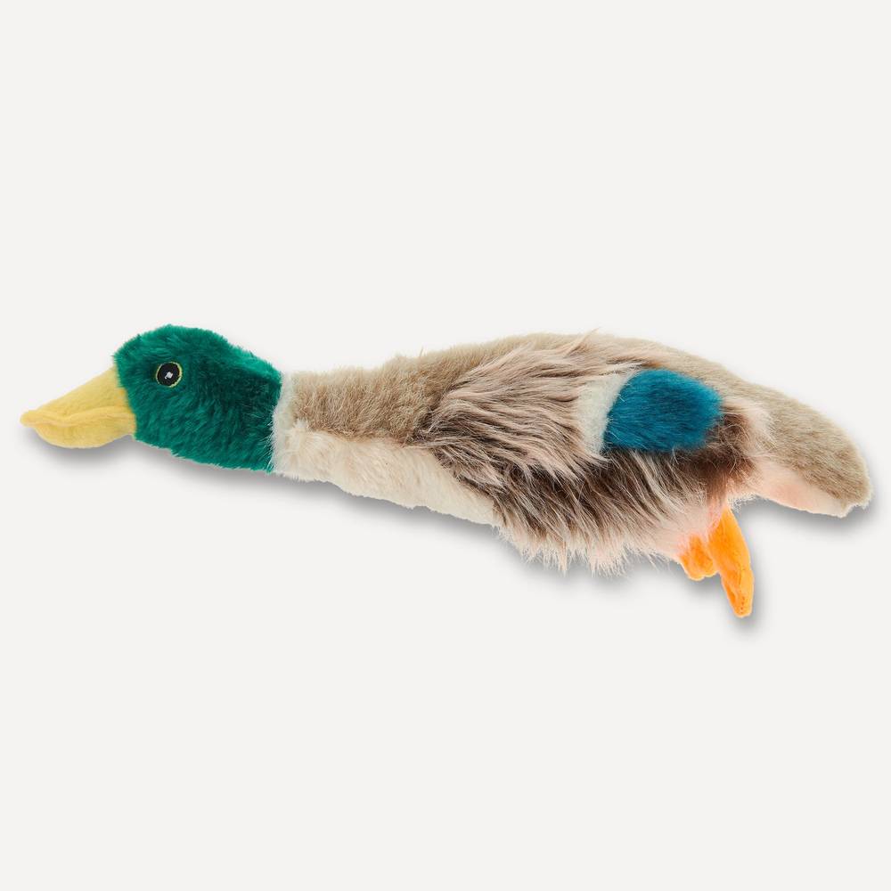 Joyhound Crazy Comfy Realistic Duck Dog Toy Plush, Squeaker