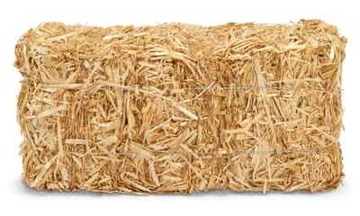 Ashland Decorative Straw Bale