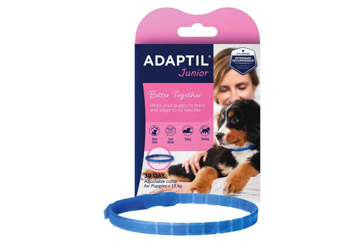 ADAPTIL Junior Calming Collar For Puppies