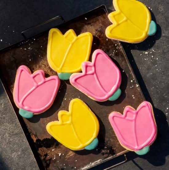 Tulip Cookie 6-Pack