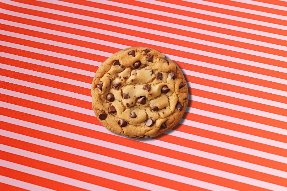 🍪 Cookie XL