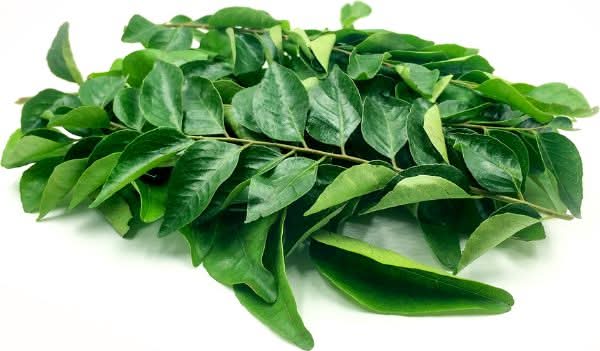 Curry Leaves (Karipatha)-Pack