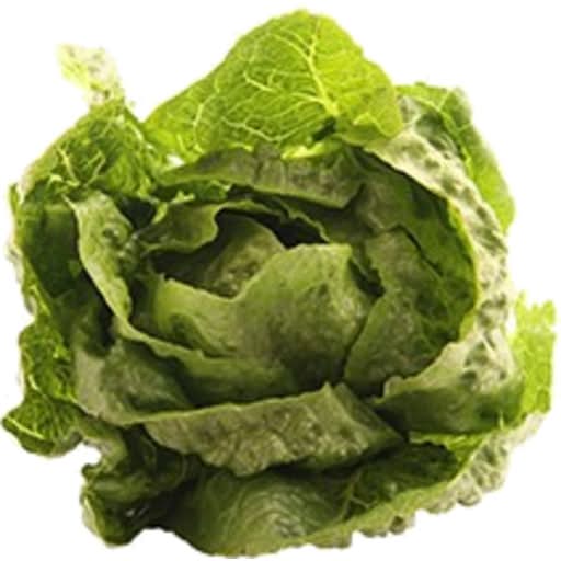 Lettuce Cos/Romaine