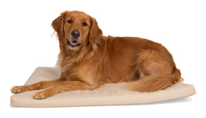 EveryYay Tan Durable Dog Mat, 41" L X 26" W, X-Large