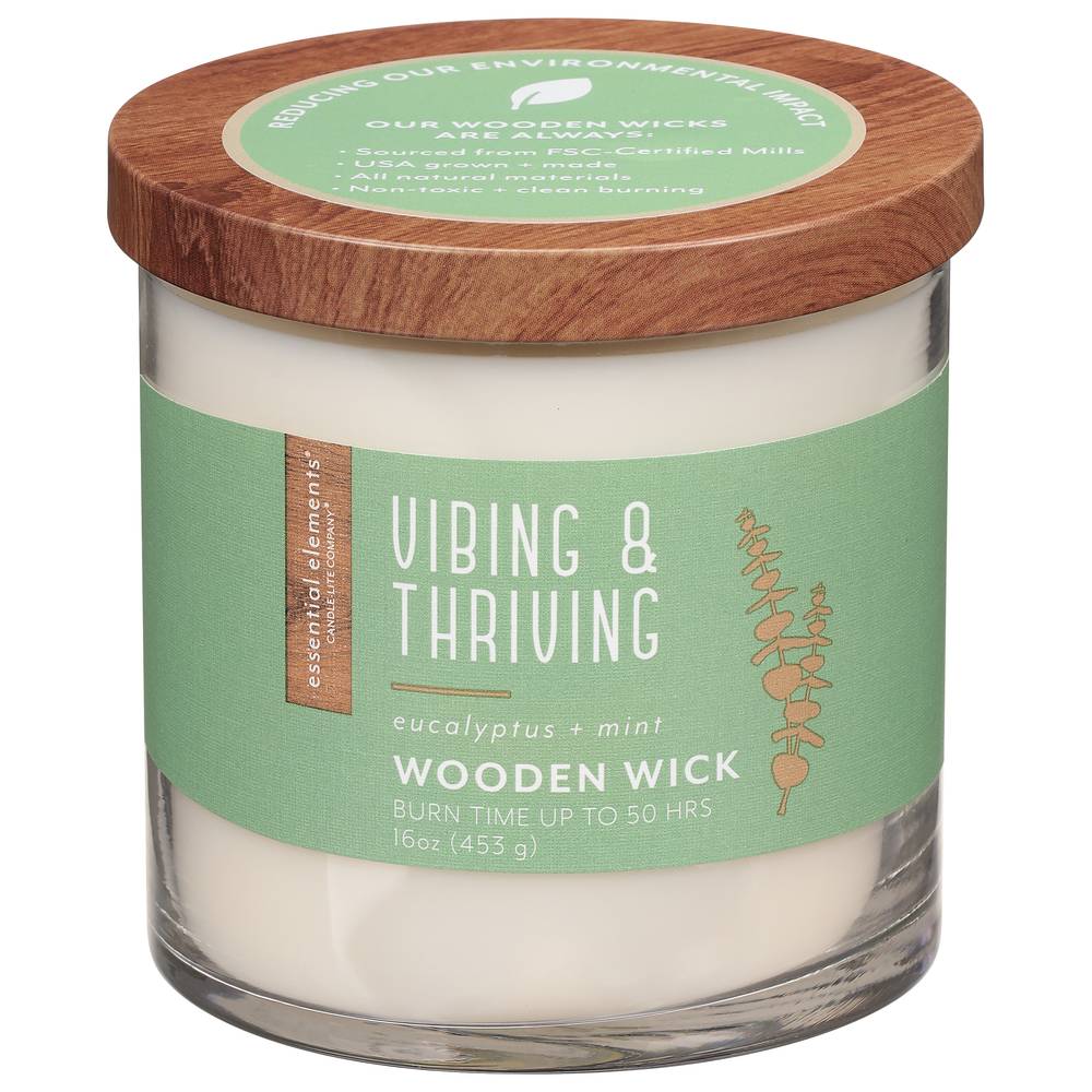 Essential Elements Vibing & Thriving Wooden Wick Eucalyptus + Mint Candle