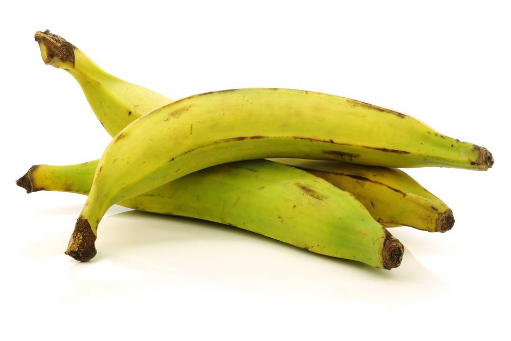 Plantain