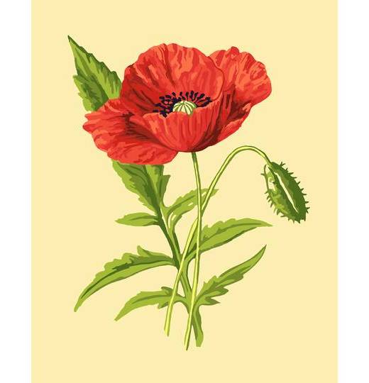 8" X 10" Vintage Poppy Paint-By-Number Kit With Wood Display Hanger By Artist'S Loft