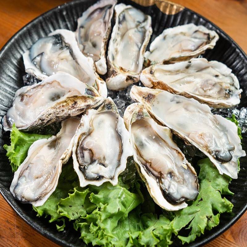 冷凍半殼生蠔300g <1Box盒 x 1 x 1Box盒>
