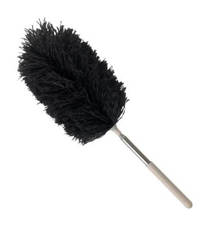Nutmeg Extendable Duster