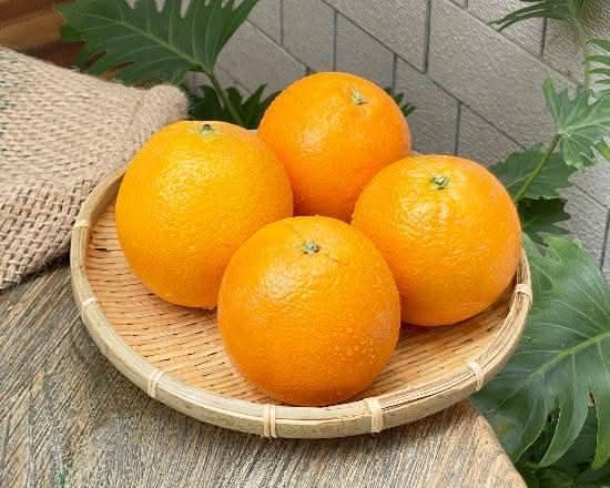 美國臍橙(4入組)