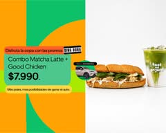 Fast Not Junk - Viña del mar
