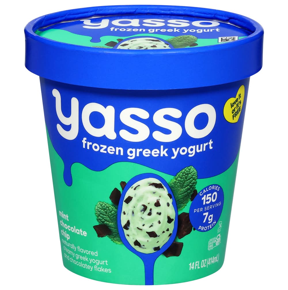 Yasso Frozen Greek Yogurt, Mint Chocolate Chip (14 fl oz)
