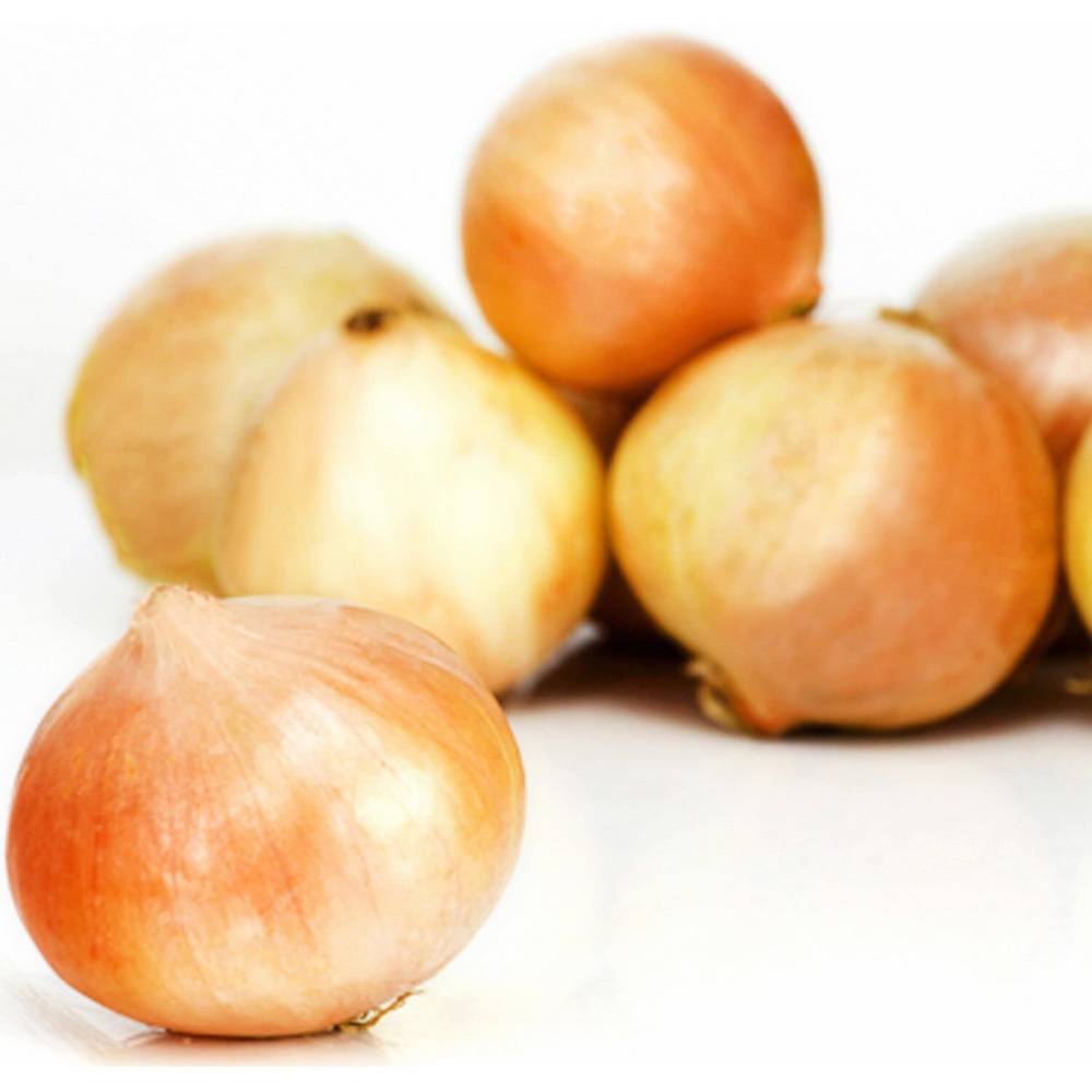 Oignons jaunes (1kg)