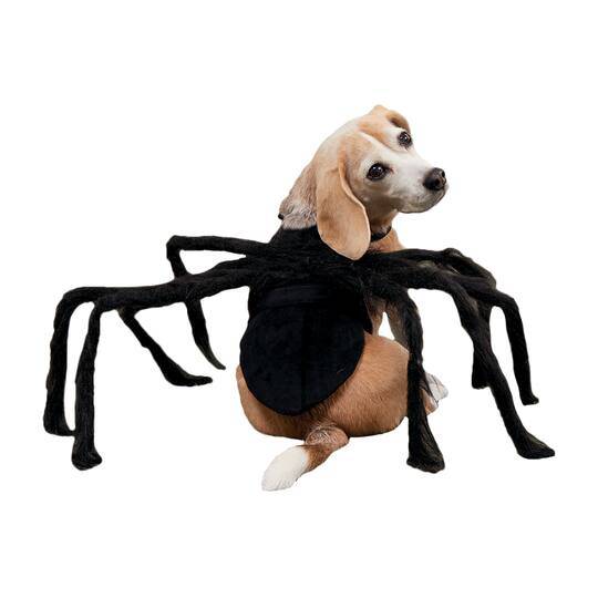 Assorted Halloween Spider Dog Costume, 1Pc. By Ashland