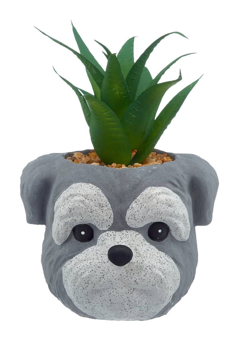 Succulent With Dog Planter Assorted