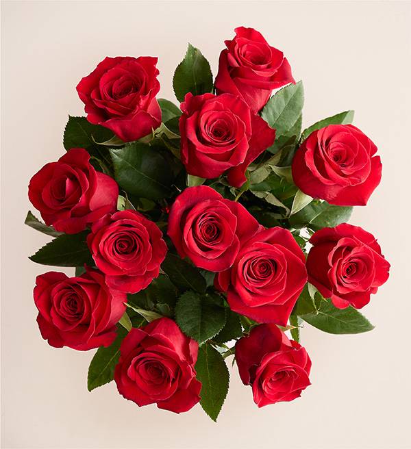 One Dozen Red Roses Bouquet