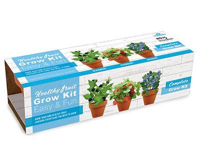 Totalgreen Holland Strawberry Blackberry & Blueberry Fruit Grow Kit