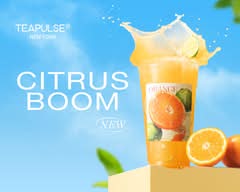 TEAPULSE- Bayside-Bubble Tea