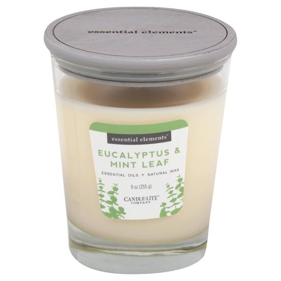 Essential Elements Candle-Lite Eucalpt & Mint (1 candle)