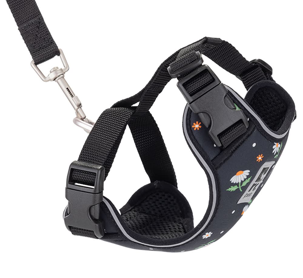 RC Pets Adventure Kitty Daisies Cat Harness (Medium)
