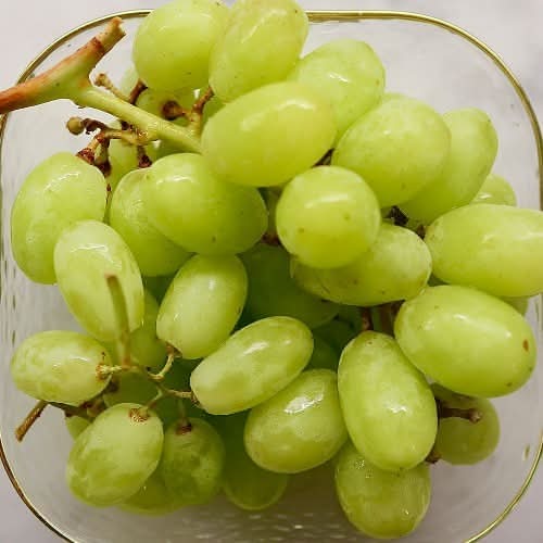 秋脆綠無籽葡萄(份)