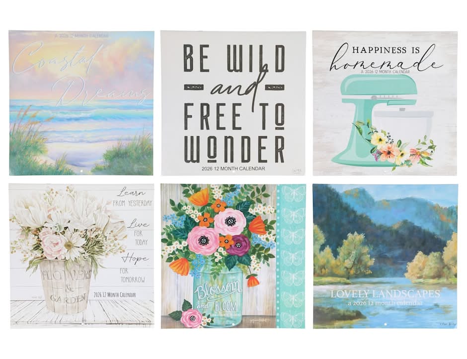 Illustrated Wall Calendars 2026, 12x12 in