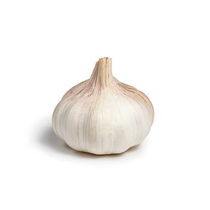 Garlic Regular Organic