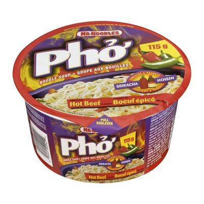 Mr. Noodles Instant Hot Beef Flavoured Noodle Pho Soup (115 g)