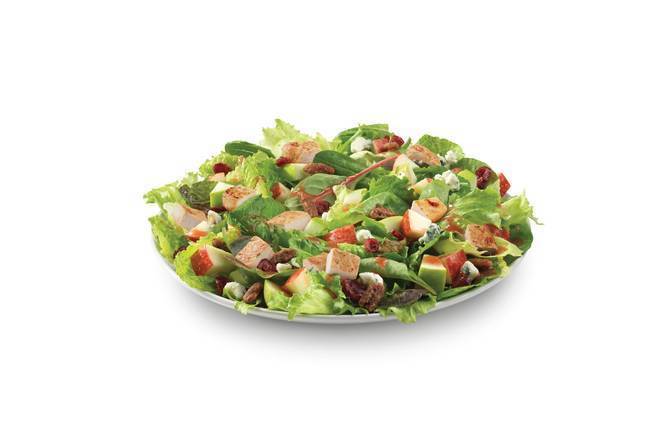 Full-Size Apple Pecan Chicken Salad